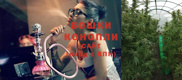 эйфоретик Дмитров