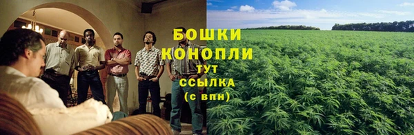 кокаин колумбия Дмитриев