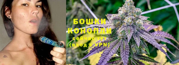 эйфоретик Дмитров