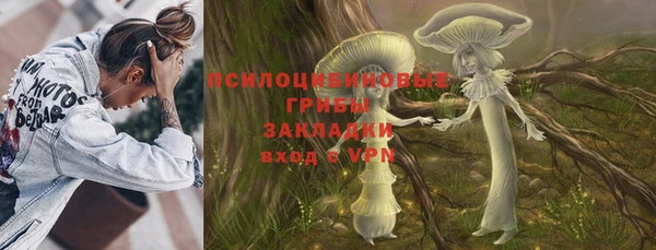 прущий лед Дмитровск