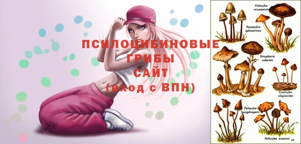 прущий лед Дмитровск
