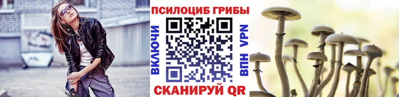 Псилоцибиновые грибы мухоморы  Купить закладки  Феодосия 